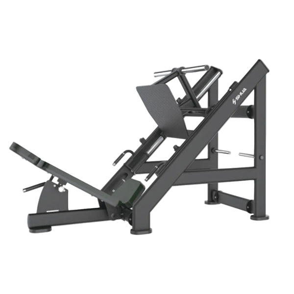 Leg press & lower body