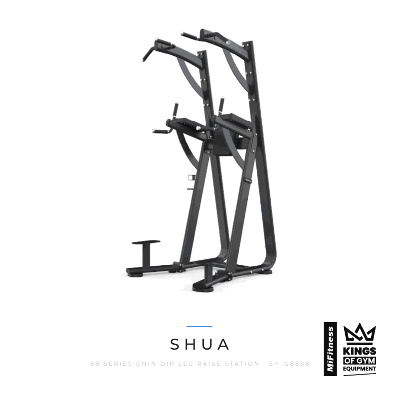 Load image into Gallery viewer, Shua 88 Series Chin Dip Leg Raise Station β MiFitness Kings of Gym Equipment