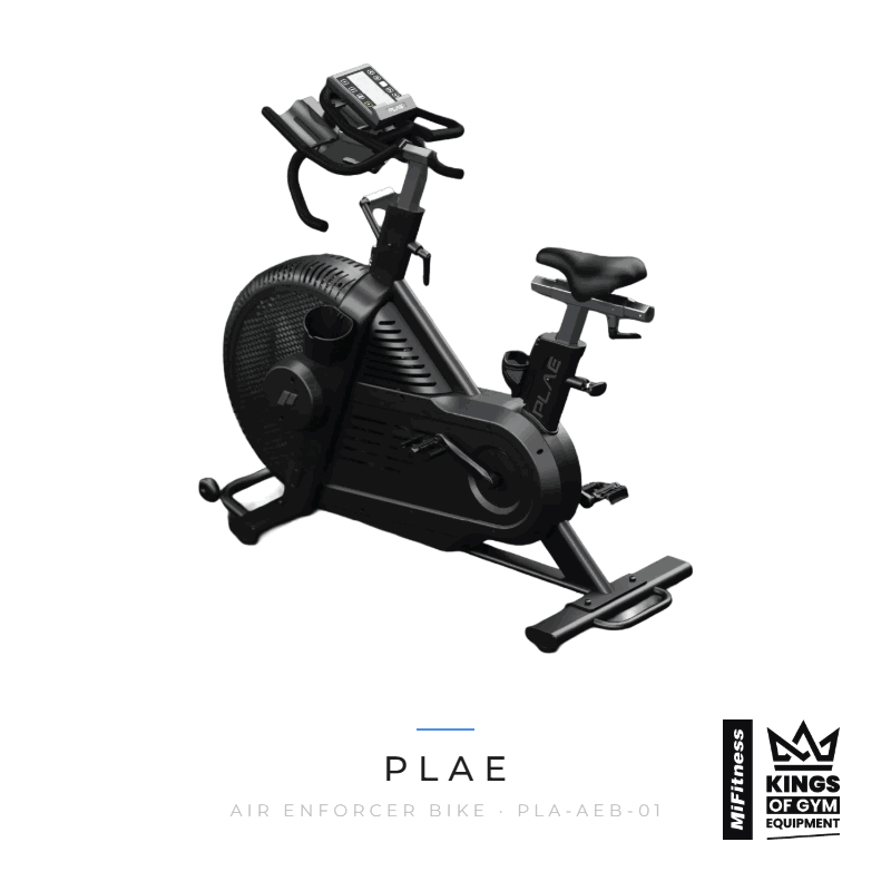 Load image into Gallery viewer, Plae Air Enforcer Bike β MiFitness Kings of Gym Equipment