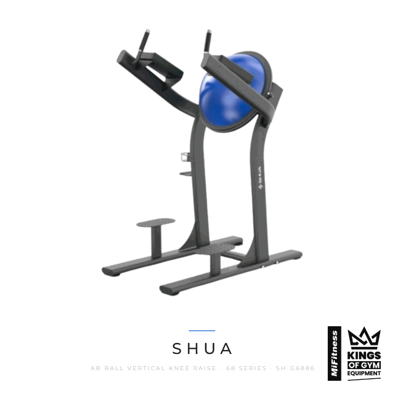 Load image into Gallery viewer, Shua Ab Ball Vertical Knee Raise - 68 Series – MiFitness Kings of Gym Equipment