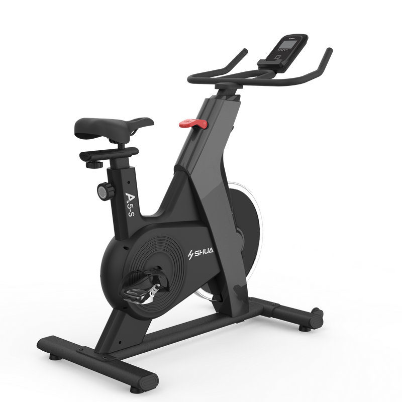 Load image into Gallery viewer, Shua Home Use Spinning Bike