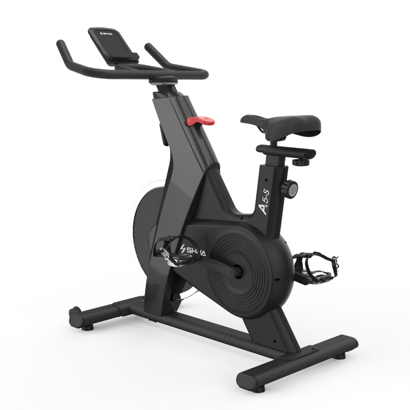 Load image into Gallery viewer, Shua Home Use Spinning Bike
