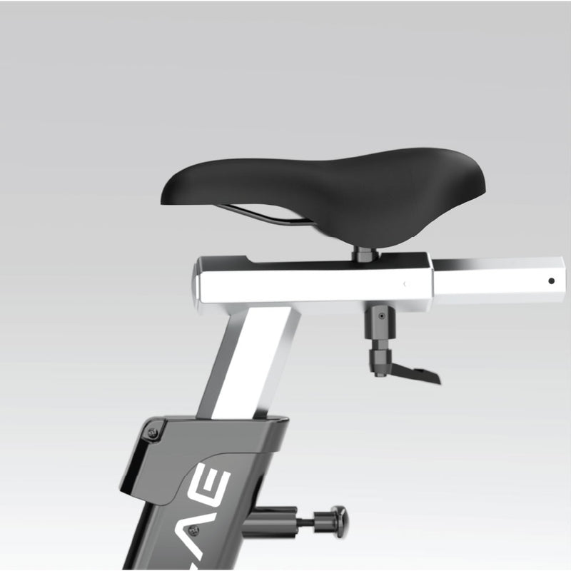 Load image into Gallery viewer, Plae Air Bike