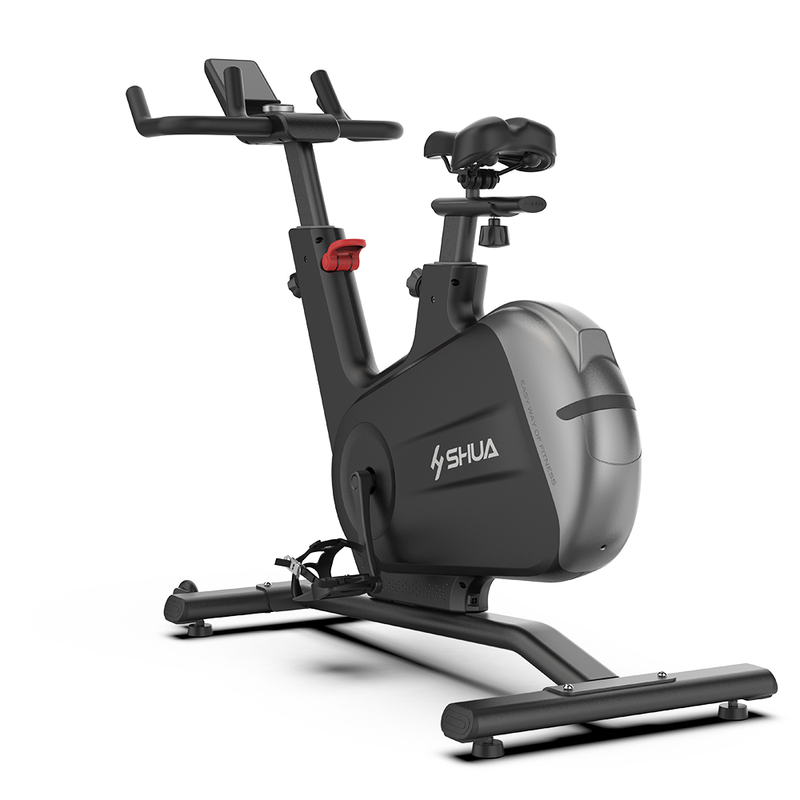 Load image into Gallery viewer, Shua B596 Home Use Spinning Bike