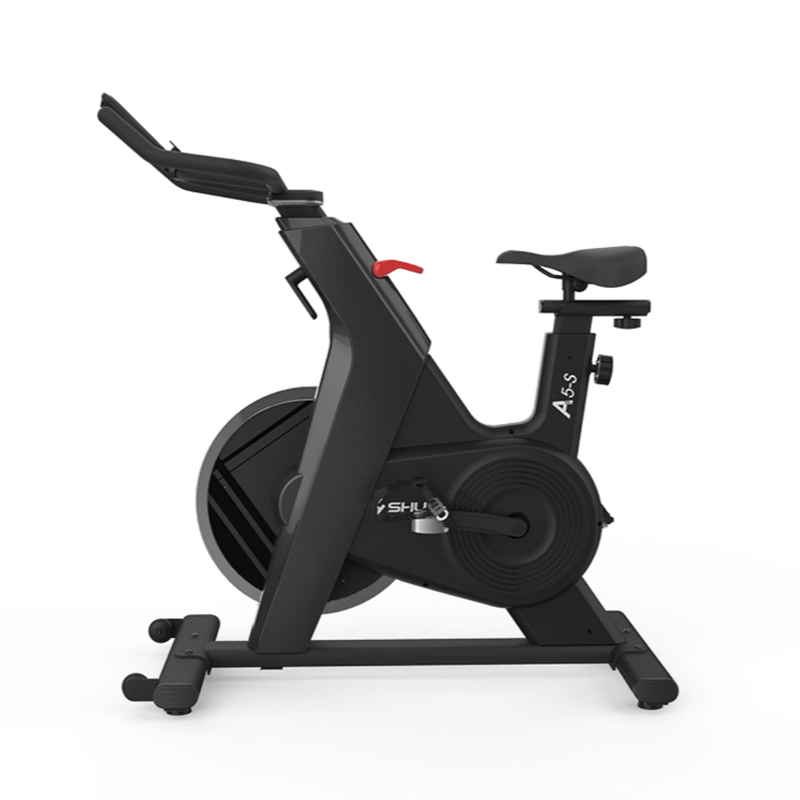 Load image into Gallery viewer, Shua Home Use Spinning Bike