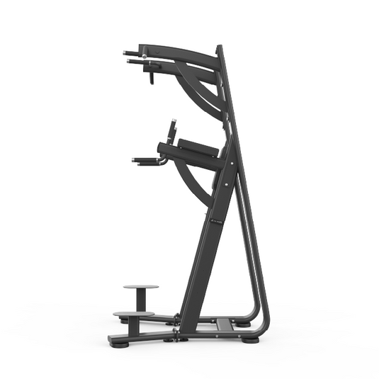 Shua 88 Series Chin Dip Leg Raise Station
