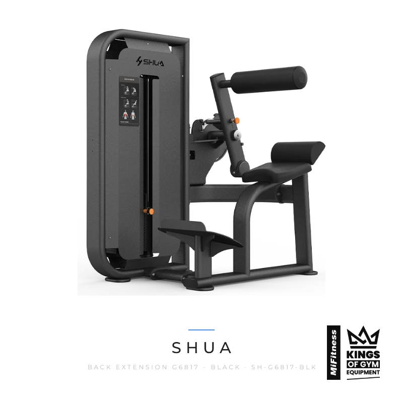 Load image into Gallery viewer, Shua Back Extension (G6817) - BLACK – MiFitness Kings of Gym Equipment
