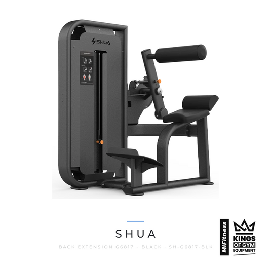 Shua Back Extension (G6817) - BLACK – MiFitness Kings of Gym Equipment