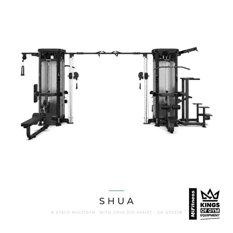 Load image into Gallery viewer, Shua 8 Stack Multigym -with Chin Dip Assist – MiFitness Kings of Gym Equipment
