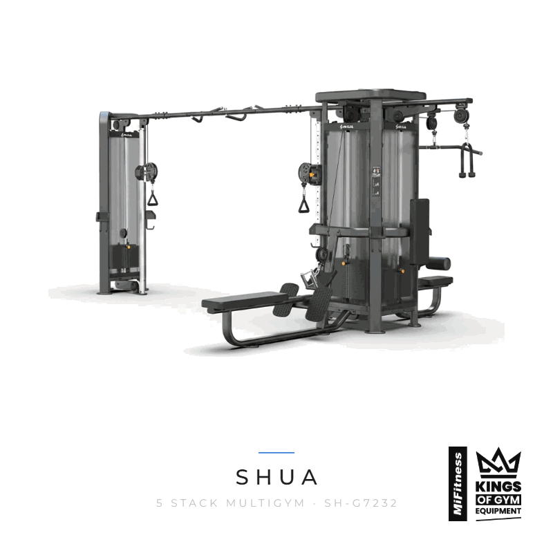 Load image into Gallery viewer, Shua 5 Stack Multigym – MiFitness Kings of Gym Equipment
