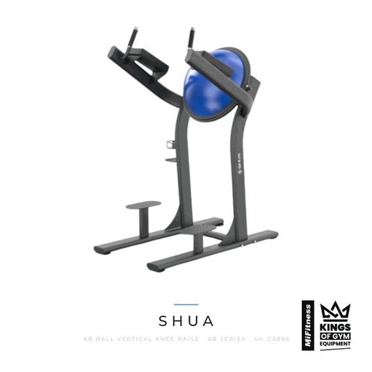 Shua Ab Ball Vertical Knee Raise - 68 Series – MiFitness Kings of Gym Equipment