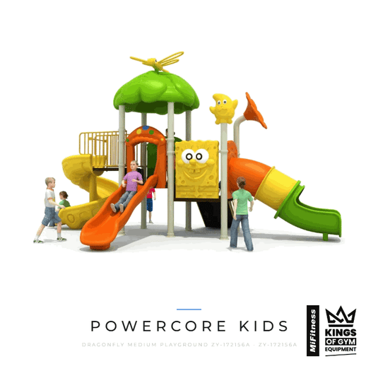 Dragonfly Medium Playground (Zy-172156A) – MiFitness Kings of Gym Equipment