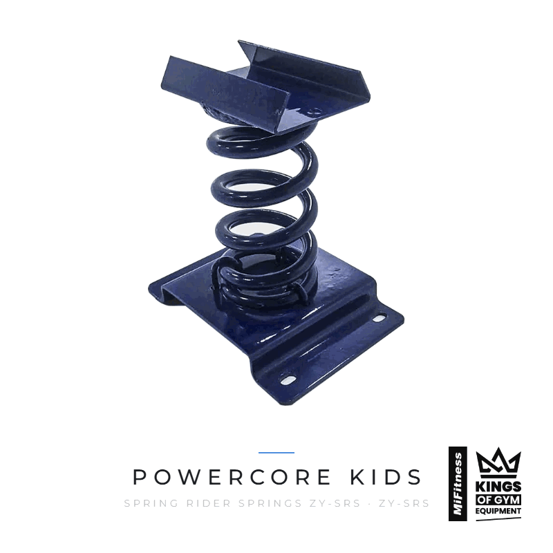 Load image into Gallery viewer, Spring Rider Springs (Zy-Srs) – MiFitness Kings of Gym Equipment
