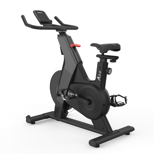 Shua Home Use Spinning Bike