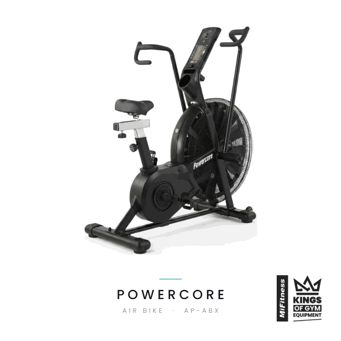 Load image into Gallery viewer, Powercore Commercial Air Bike
