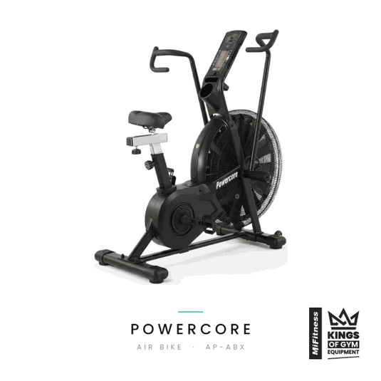 Powercore Commercial Air Bike