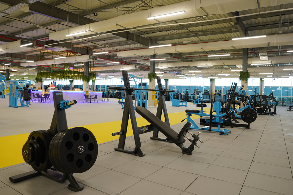 Type-S Fitness
