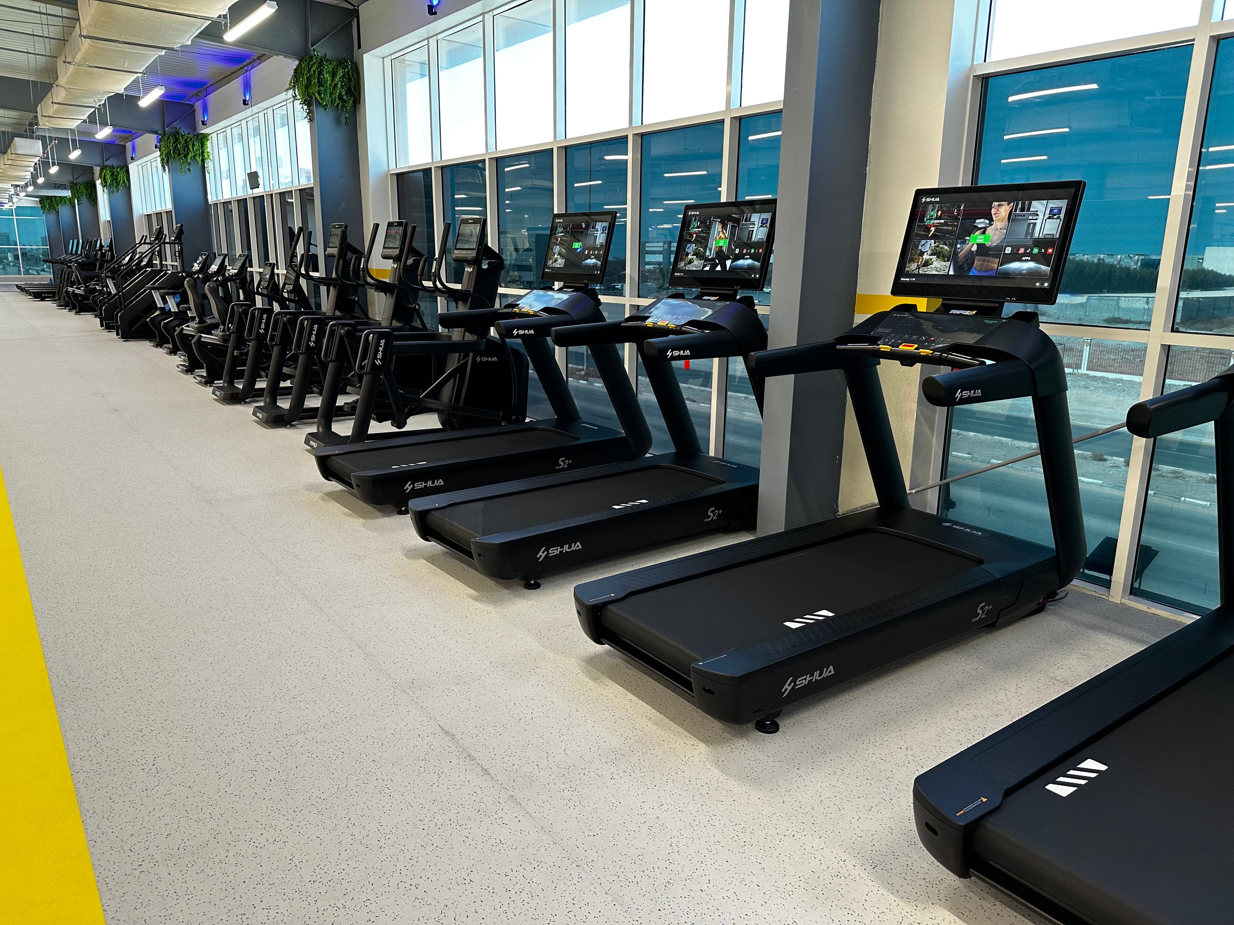 Type-S Fitness