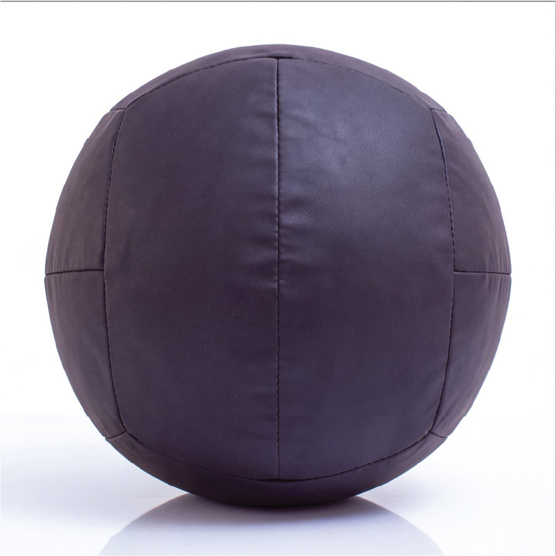 Load image into Gallery viewer, Sample - Powert Wall Ball 16lb (3–6 Month Warranty)
