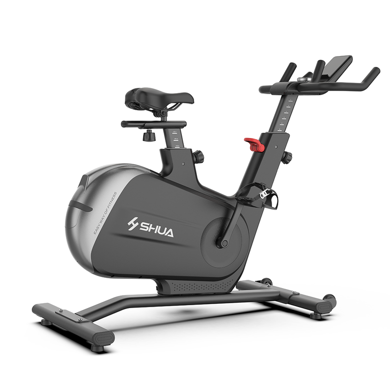 Load image into Gallery viewer, Shua B596 Home Use Spinning Bike
