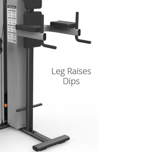 Shua 3 Station Multi-Gym