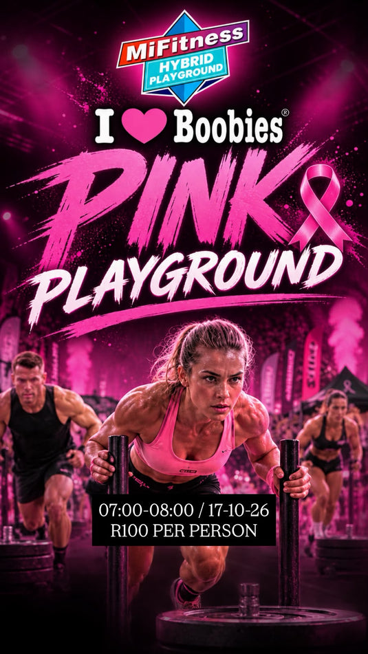 Hybrid Playground - Pink Playground